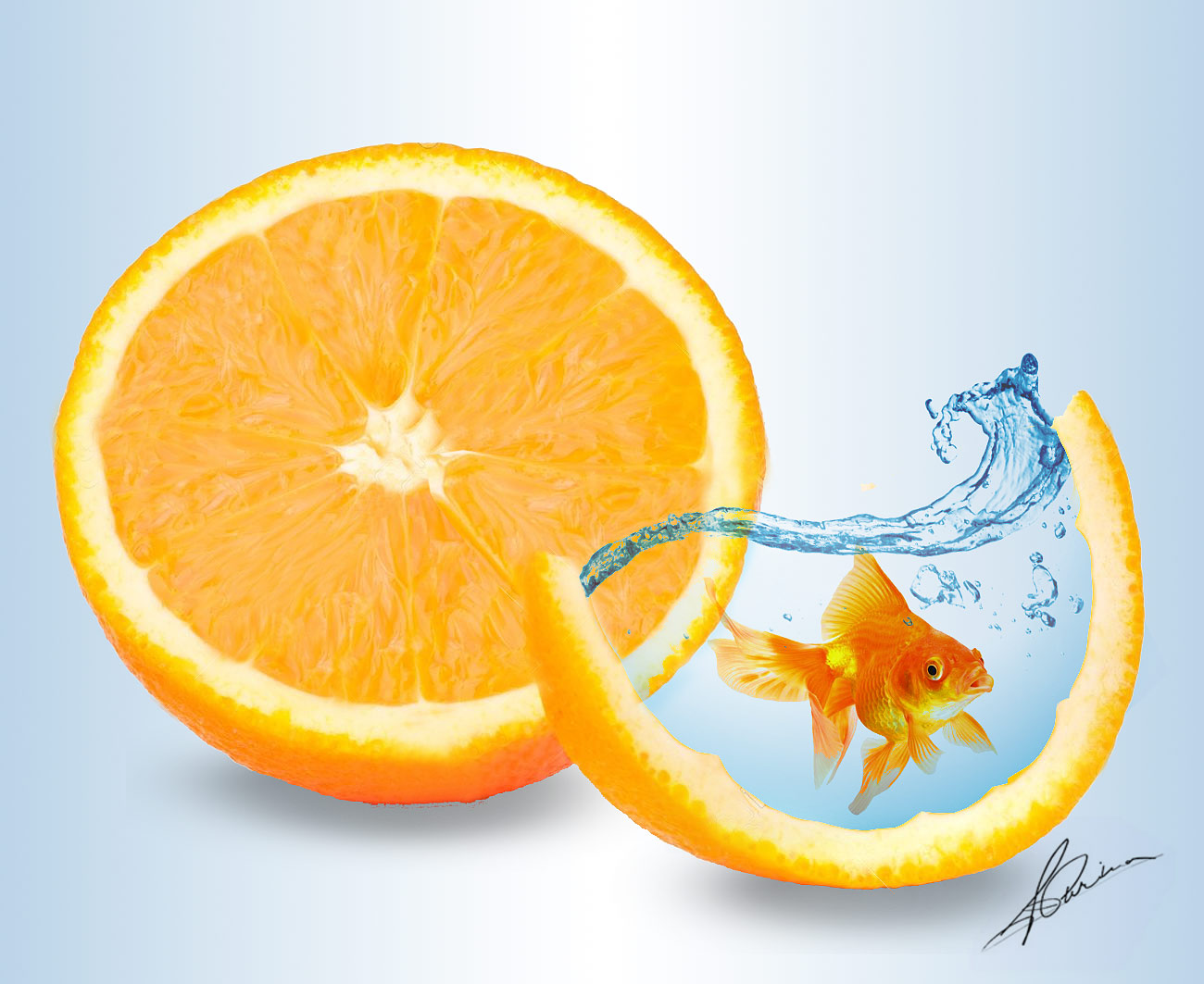 diseno-gold-fish-and-orange