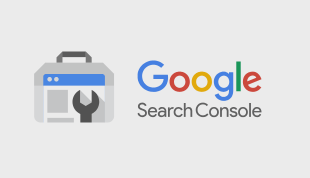 SEO - Google Search Console - Logo